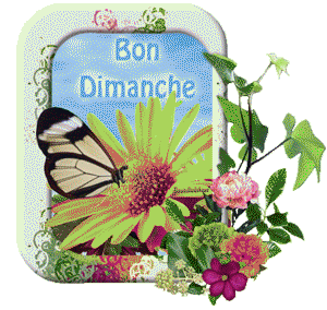Gif animé Bon dimanche fleur